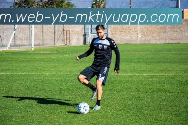 MK体育APP 封面图